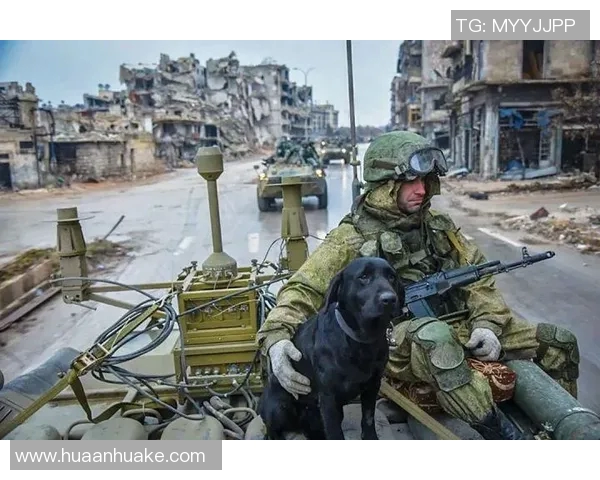 瑞典男子足球队在国际赛场上的辉煌历程与未来展望