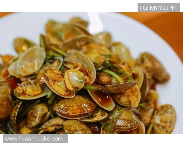 泰达足球场周边美食与休闲活动推荐让你尽享足球之旅的乐趣