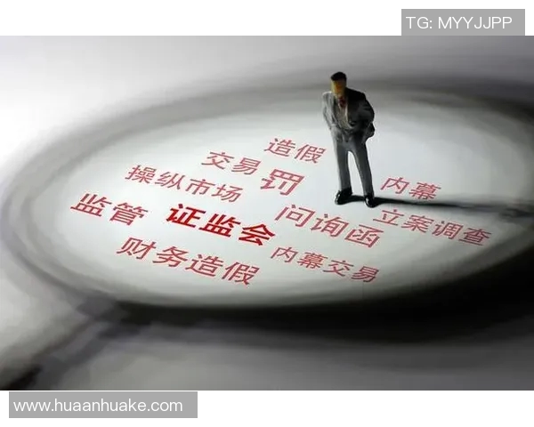 广州与上海的城市魅力对比探讨谁才是中国经济文化的双子星